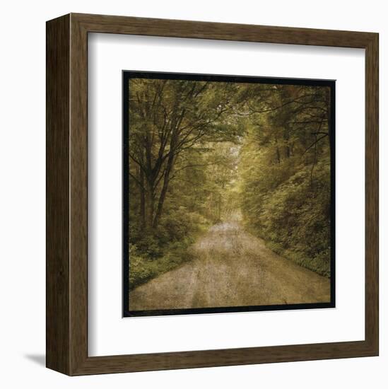 Flannery Fork Road No. 1-John W^ Golden-Framed Art Print