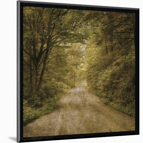 Flannery Fork Road No. 1-John W^ Golden-Mounted Art Print