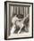 Flapper Rolling Up Stockings-null-Framed Photo