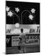 Photographic Print