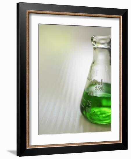 Flask-Tim Pannell-Framed Photographic Print