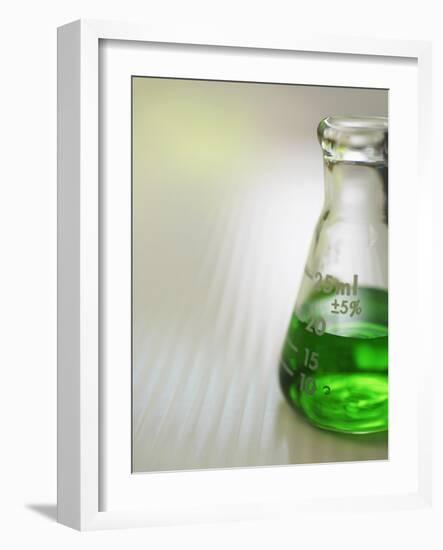 Flask-Tim Pannell-Framed Photographic Print
