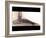 Flat Foot, X-ray-ZEPHYR-Framed Photographic Print