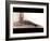 Flat Foot, X-ray-ZEPHYR-Framed Photographic Print