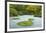 Flat Garden from the Pavilion, Portland Japanese Garden, Portland, Oregon, USA-Michel Hersen-Framed Photographic Print