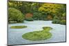 Flat Garden from the Pavilion, Portland Japanese Garden, Portland, Oregon, USA-Michel Hersen-Mounted Photographic Print