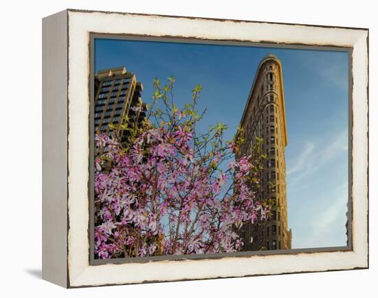 Flat Iron Building in the Spring, Manhattan, New York City-Sabine Jacobs-Framed Premier Image Canvas