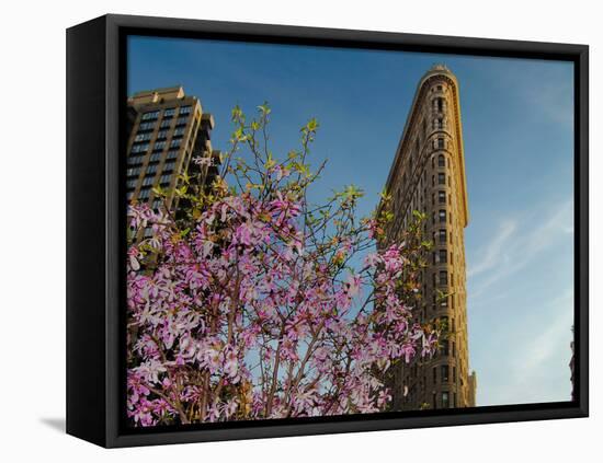 Flat Iron Building in the Spring, Manhattan, New York City-Sabine Jacobs-Framed Premier Image Canvas