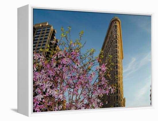 Flat Iron Building in the Spring, Manhattan, New York City-Sabine Jacobs-Framed Premier Image Canvas