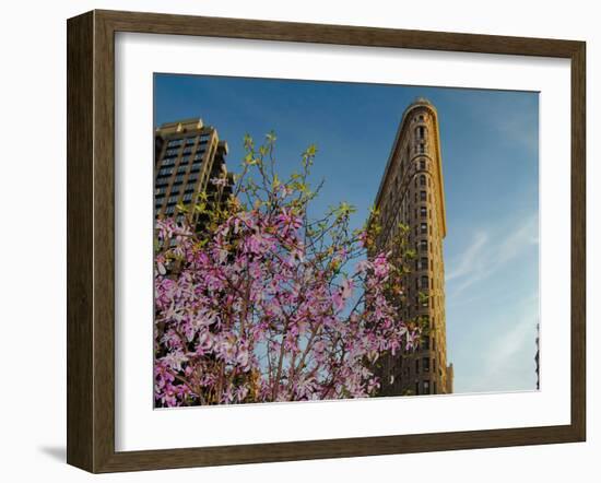 Flat Iron Building in the Spring, Manhattan, New York City-Sabine Jacobs-Framed Photographic Print