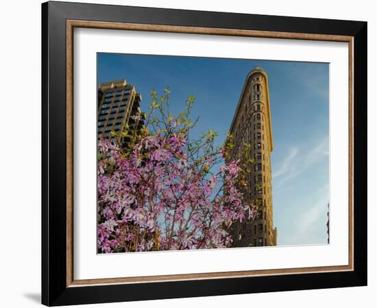 Flat Iron Building in the Spring, Manhattan, New York City-Sabine Jacobs-Framed Photographic Print