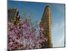 Flat Iron Building in the Spring, Manhattan, New York City-Sabine Jacobs-Mounted Photographic Print