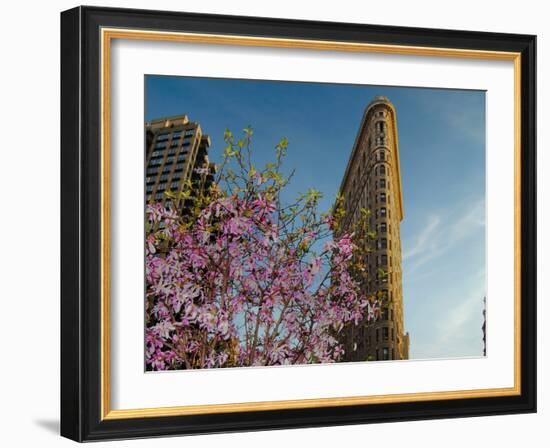 Flat Iron Building in the Spring, Manhattan, New York City-Sabine Jacobs-Framed Photographic Print