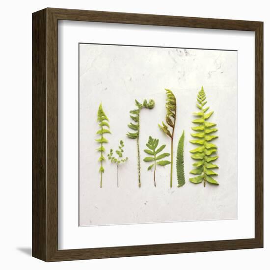 Flat Lay Ferns IV-Felicity Bradley-Framed Art Print