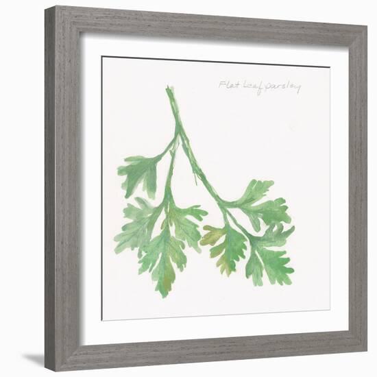 Flat Leaf Parsley-Chris Paschke-Framed Art Print