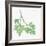 Flat Leaf Parsley-Chris Paschke-Framed Art Print