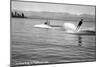 Flathead Lake, Montana, View of a Man Water-Skiing, Couple in Speedboat-Lantern Press-Mounted Art Print