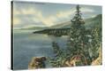 Stretched Canvas Print