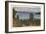 Flathead Lake, Montana-null-Framed Art Print