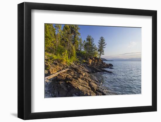 Flathead Lake, Sunrise Light at West Shore State Park Near Lakeside, Montana, USA-Chuck Haney-Framed Photographic Print