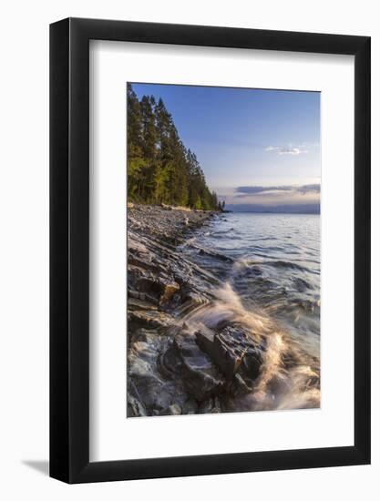 Flathead Lake, Sunrise Light at West Shore State Park Near Lakeside, Montana, USA-Chuck Haney-Framed Photographic Print