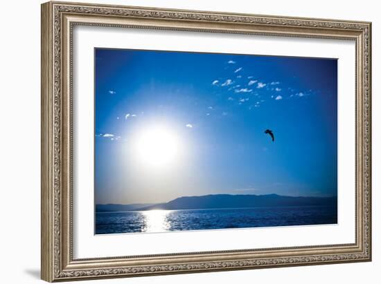 Flathead Lake-Erin Berzel-Framed Photographic Print