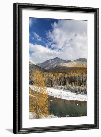 Flathead River in Fall Colors, Glacier National Park, Montana, USA-Chuck Haney-Framed Photographic Print