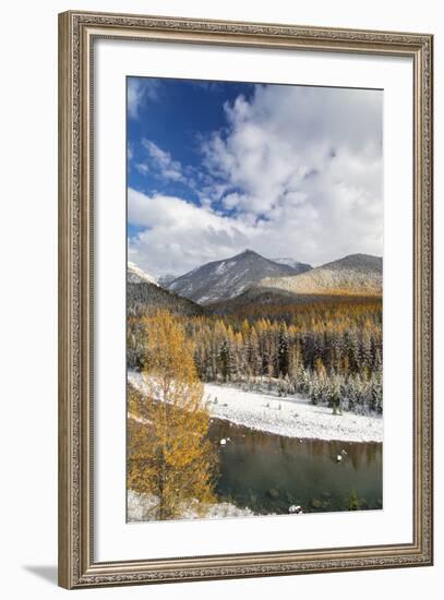 Flathead River in Fall Colors, Glacier National Park, Montana, USA-Chuck Haney-Framed Photographic Print