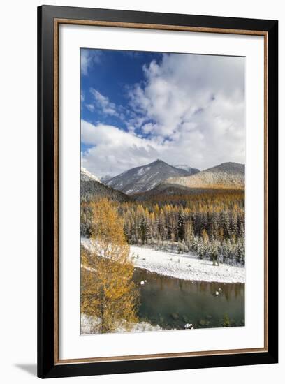 Flathead River in Fall Colors, Glacier National Park, Montana, USA-Chuck Haney-Framed Photographic Print