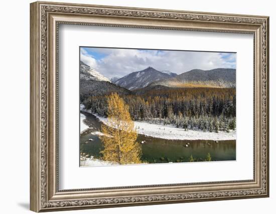 Flathead River in Fall Colors, Glacier National Park, Montana, USA-Chuck Haney-Framed Photographic Print