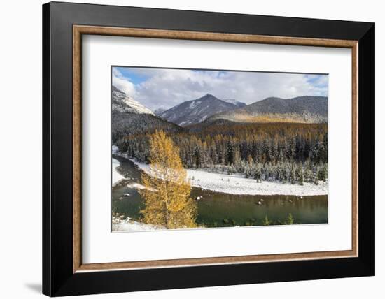 Flathead River in Fall Colors, Glacier National Park, Montana, USA-Chuck Haney-Framed Photographic Print