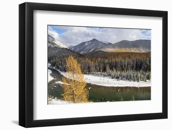 Flathead River in Fall Colors, Glacier National Park, Montana, USA-Chuck Haney-Framed Photographic Print