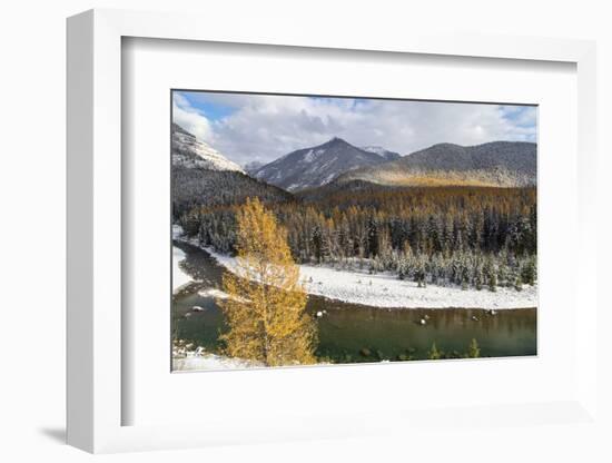 Flathead River in Fall Colors, Glacier National Park, Montana, USA-Chuck Haney-Framed Photographic Print