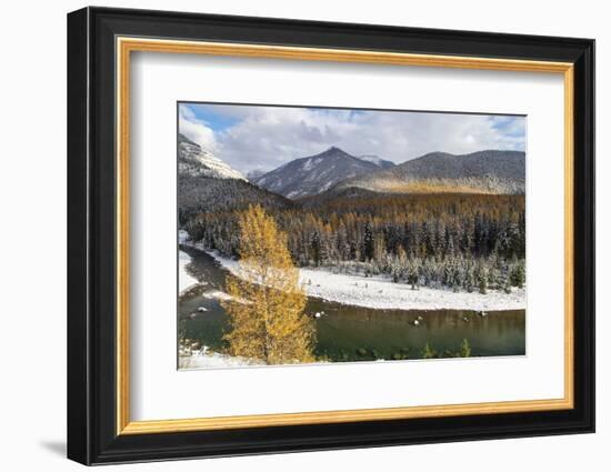 Flathead River in Fall Colors, Glacier National Park, Montana, USA-Chuck Haney-Framed Photographic Print