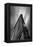 Flatiron 1-2-Moises Levy-Framed Premier Image Canvas