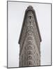 Flatiron Building, Manhattan, New York City, New York, USA-Jon Arnold-Mounted Photographic Print