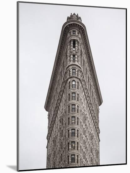 Flatiron Building, Manhattan, New York City, New York, USA-Jon Arnold-Mounted Photographic Print