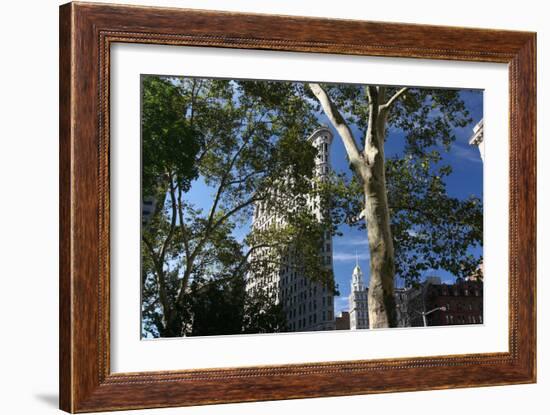 Flatiron Building with Trees-Robert Goldwitz-Framed Photographic Print