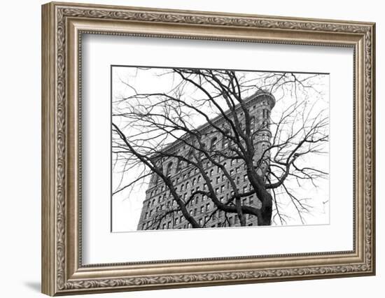 Flatiron with Tree (b/w)-Erin Clark-Framed Art Print
