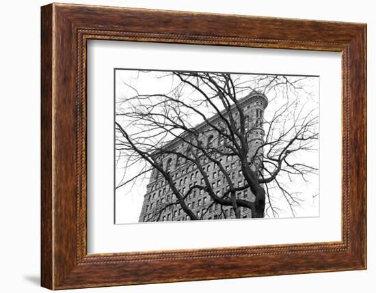 Flatiron with Tree (b/w)-Erin Clark-Framed Art Print