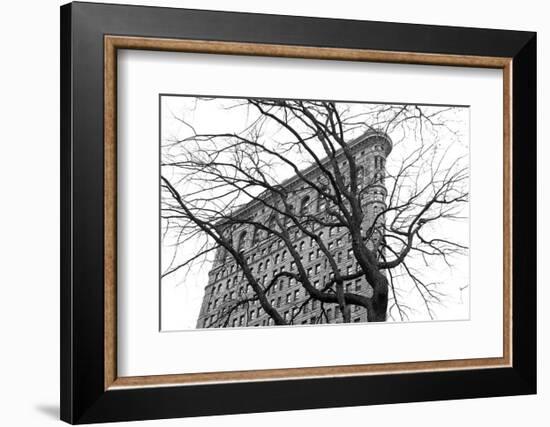 Flatiron with Tree (b/w)-Erin Clark-Framed Art Print