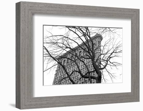 Flatiron with Tree (b/w)-Erin Clark-Framed Art Print