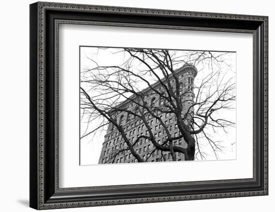 Flatiron with Tree (b/w)-Erin Clark-Framed Art Print