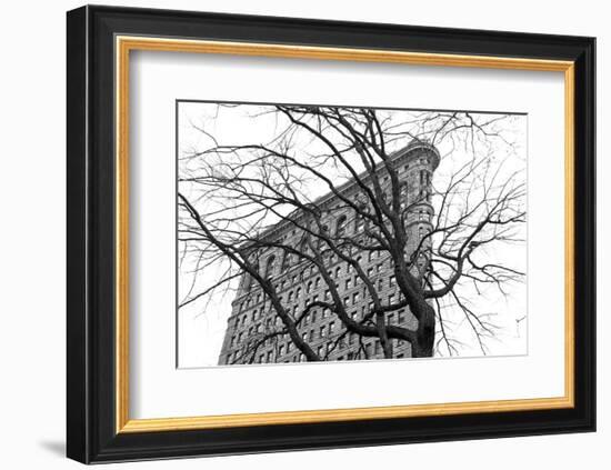 Flatiron with Tree (b/w)-Erin Clark-Framed Art Print