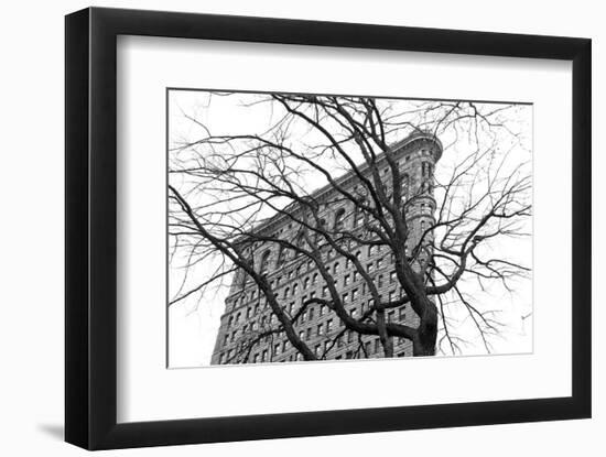 Flatiron with Tree (b/w)-Erin Clark-Framed Art Print