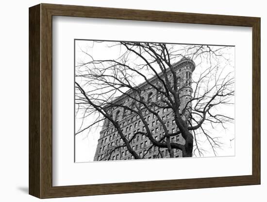 Flatiron with Tree (b/w)-Erin Clark-Framed Art Print