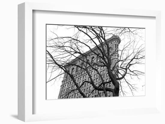 Flatiron with Tree (b/w)-Erin Clark-Framed Art Print