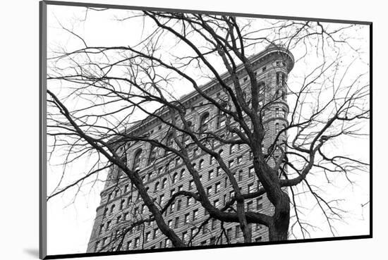 Flatiron with Tree (b/w)-Erin Clark-Mounted Art Print