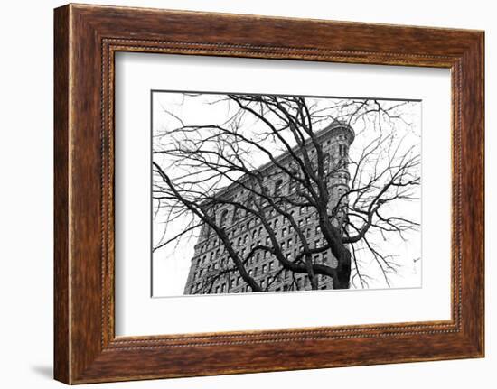 Flatiron with Tree-Erin Clark-Framed Giclee Print