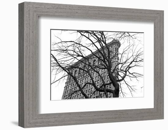 Flatiron with Tree-Erin Clark-Framed Giclee Print